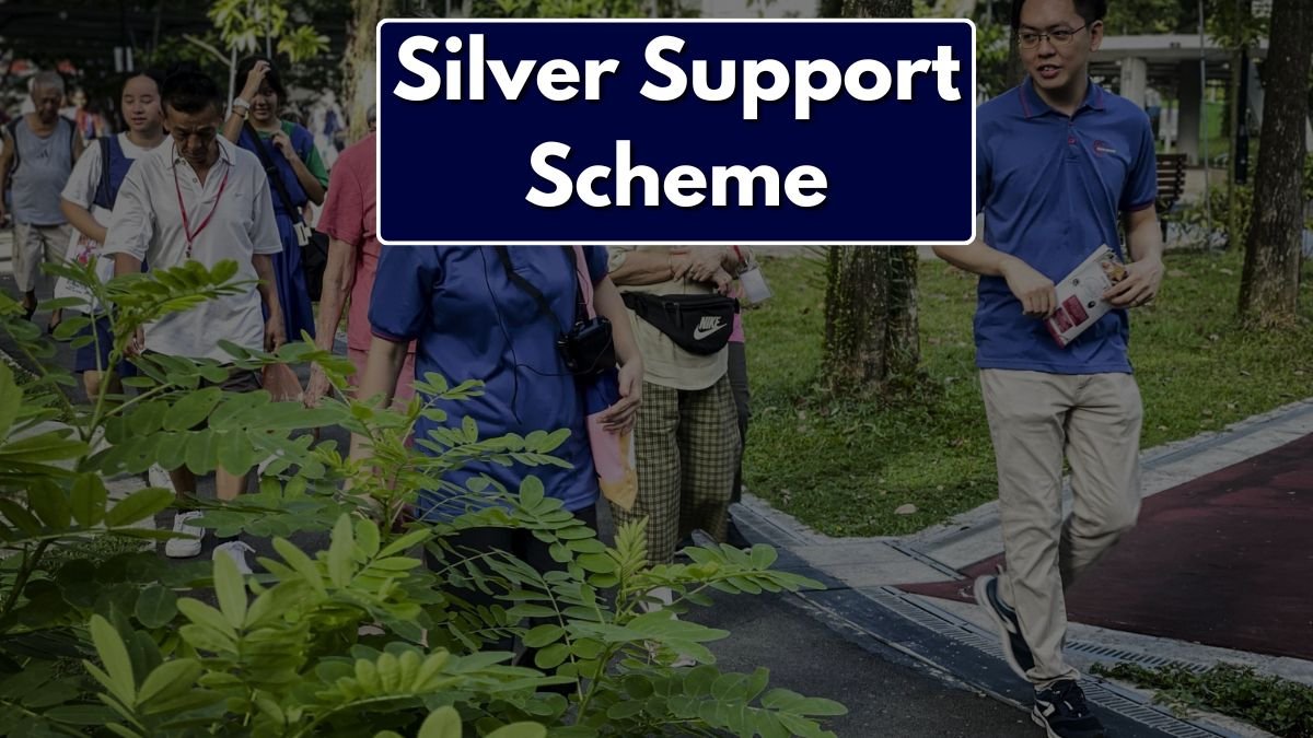 Silver Support Scheme